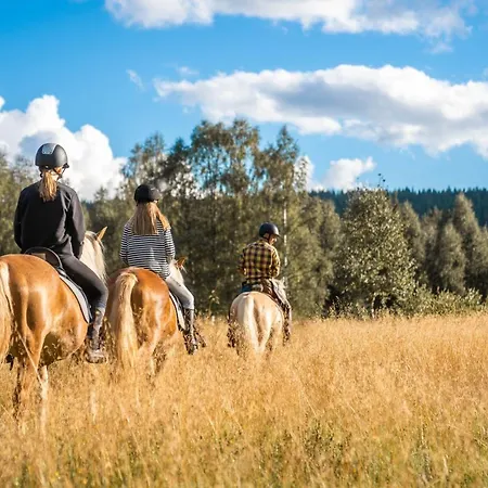 אתר קמפינג Ranch Kuulas